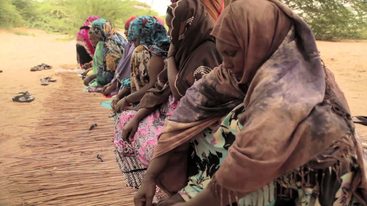 Somaliland - Changing the odds