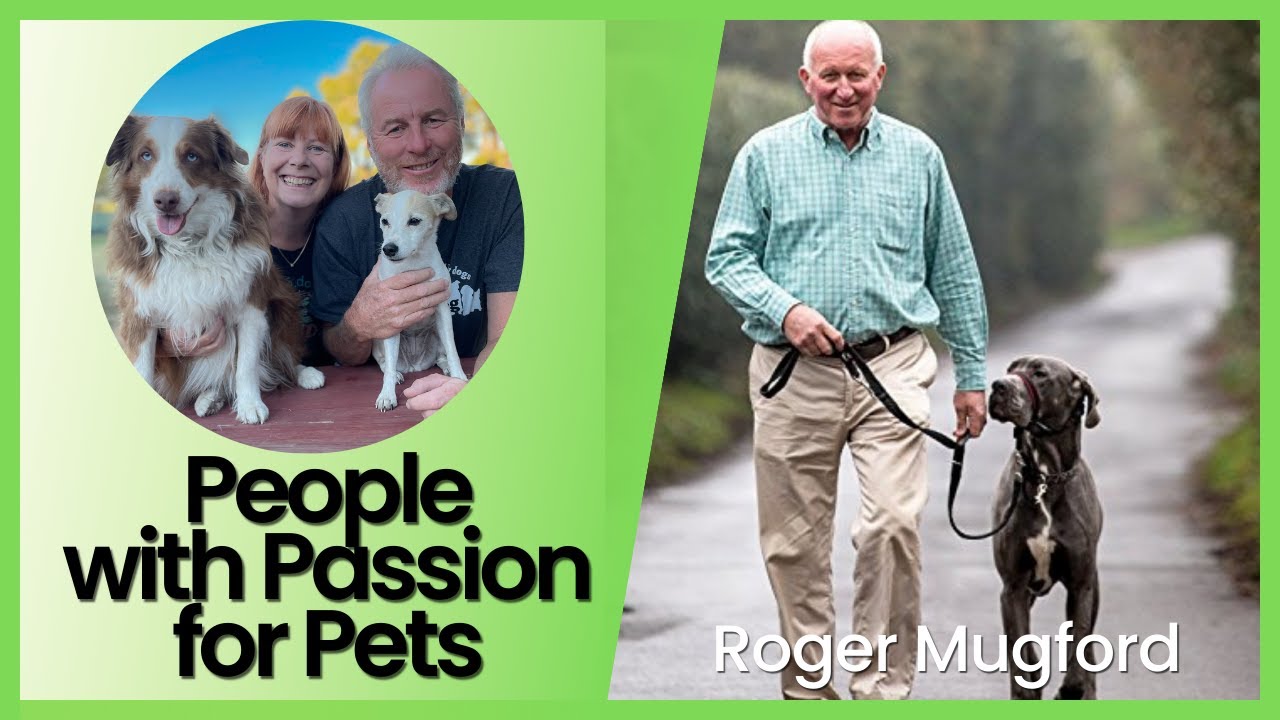 CarSafe Crash Tested Dog Harness with Dr Roger Mugford