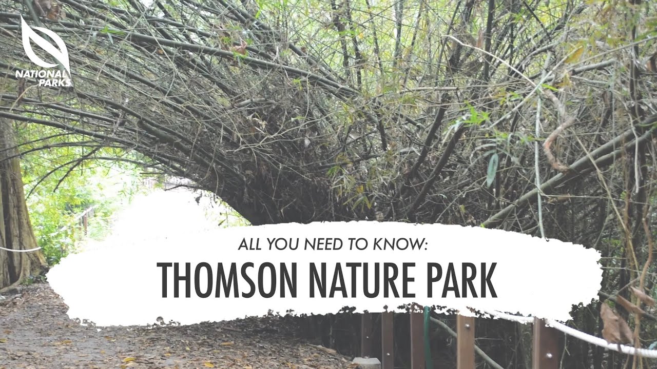 Thomson Nature Park | All You Need To Know