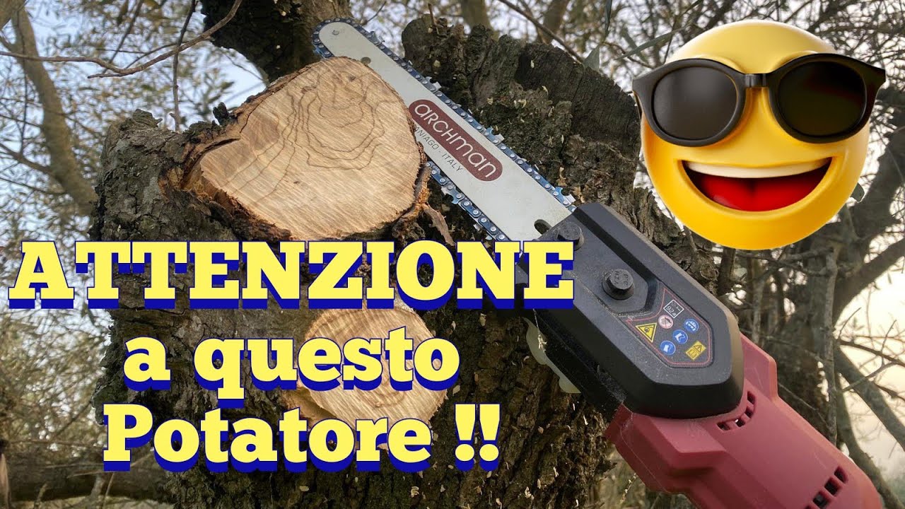 Ecco il macchinario che ci semplifica la potatura !!🌳🪓