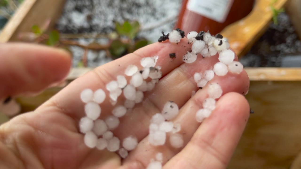 మా వూళ్ళో దడ దడ మని వడగళ్ళు! Hail in California!!