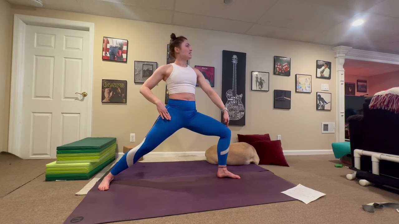 Yoga/Doga Flow