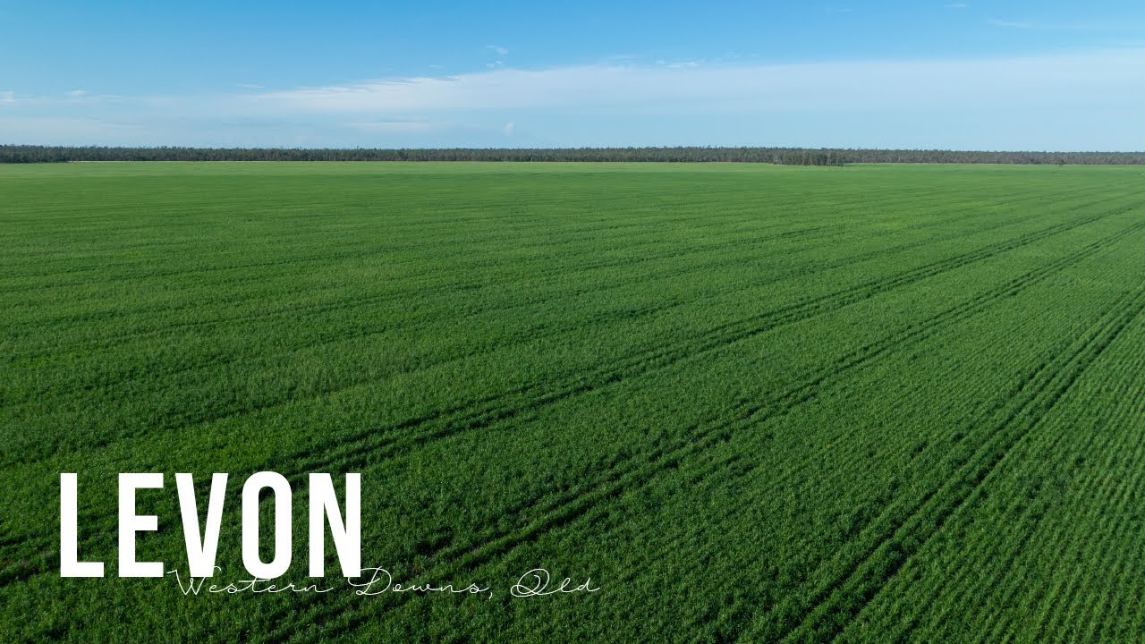 ‘Levon’, Western Downs, Qld