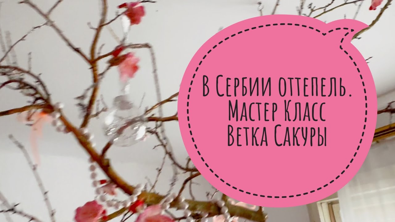 В Сербии оттепель. Мастер класс Ветка сакуры. 