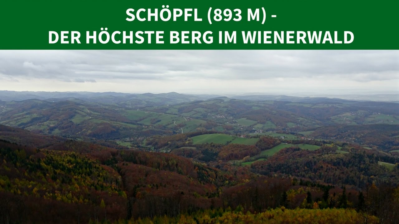 SCHÖPFL (893 M) - DER HÖCHSTE BERG IM WIENERWALD