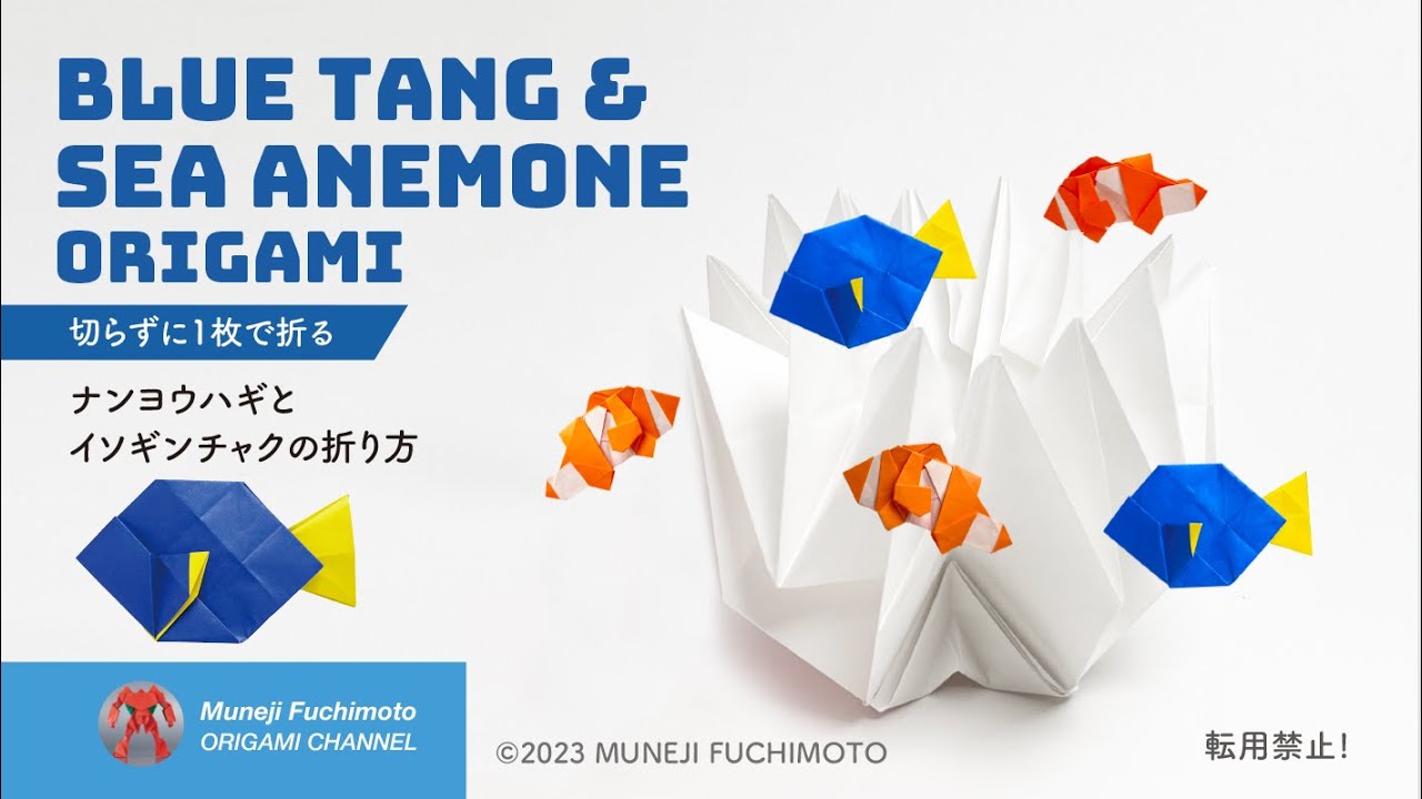 「折り紙」ナンヨウハギ＆イソギンチャク（blue tang & sea anemone）の折り方
