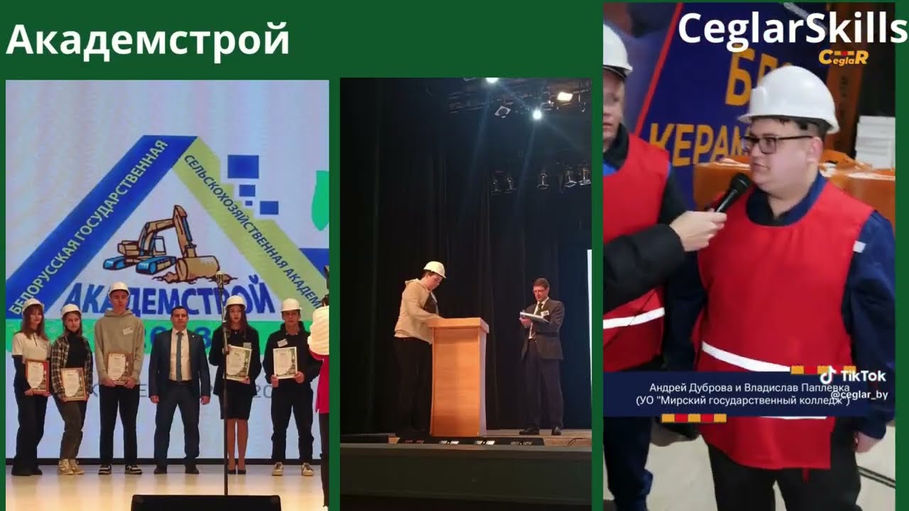 Мирский государственный колледж