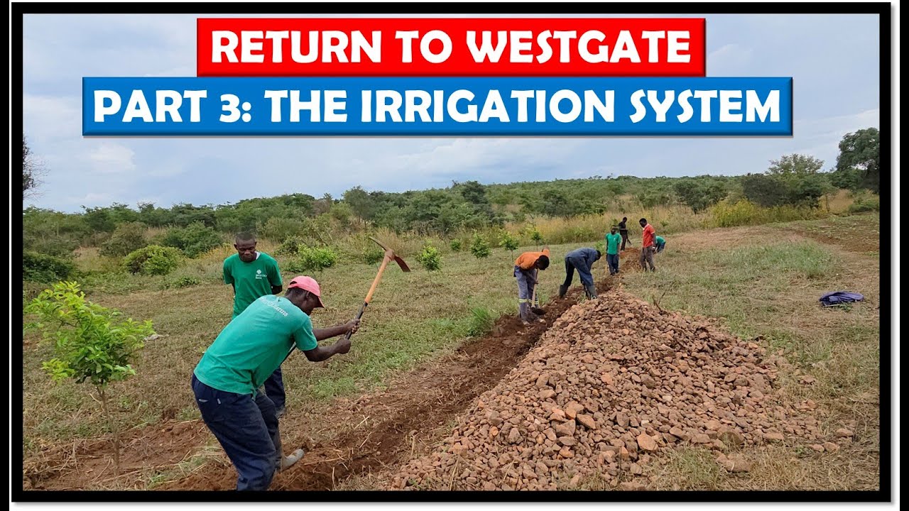 Farming in Zambia: Setting up a Permanent the Irrigation System at Westgate 1