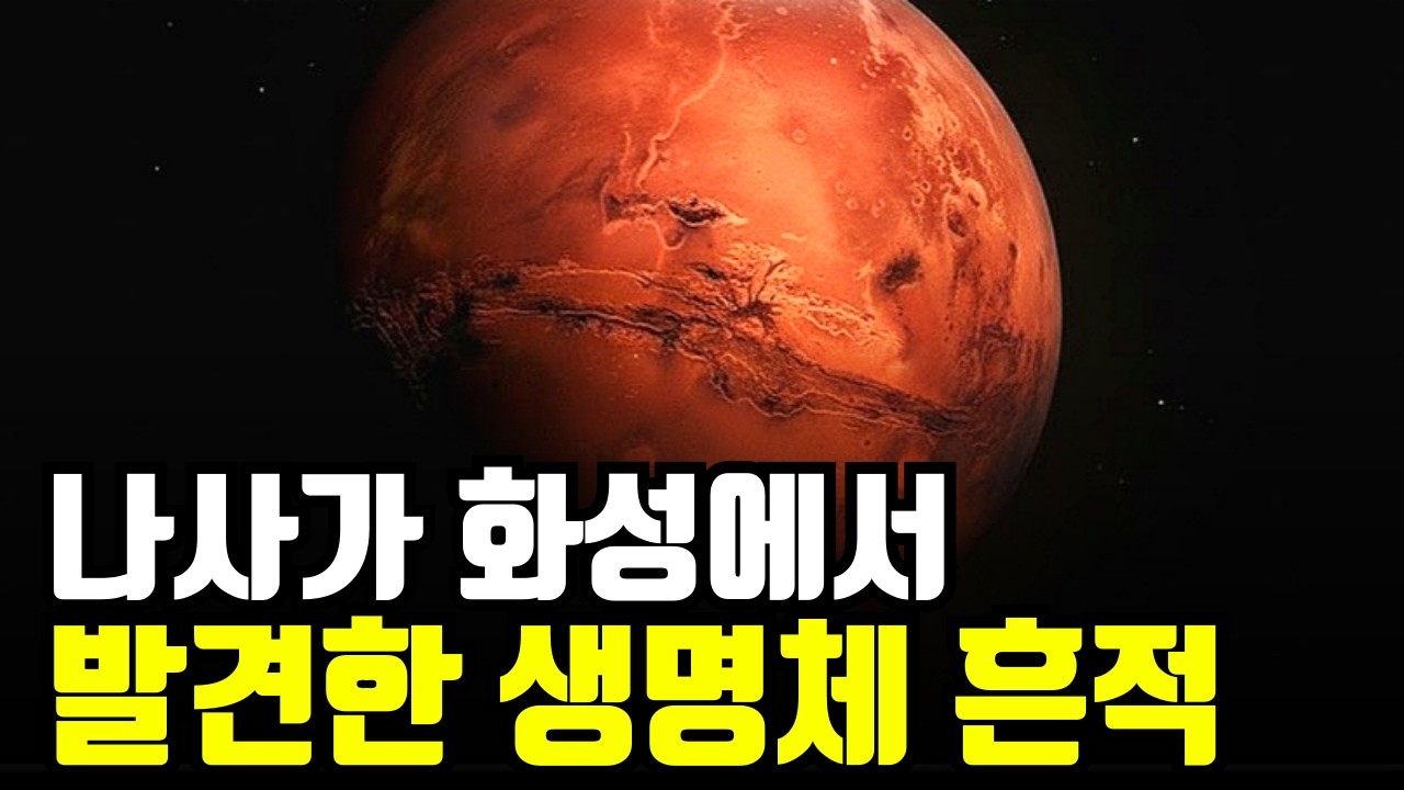 NASA가 화성에서 발견한 생명체 흔적은 무엇일까