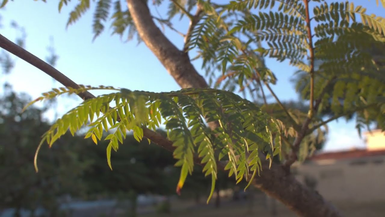 Lens test Nikkor Ai 24mm f2.8 (Canon EOS-M with Magic Lantern)