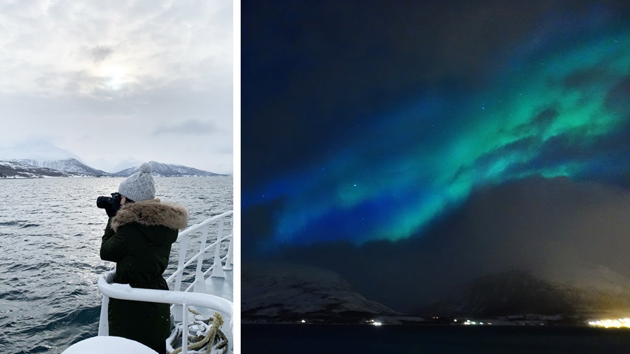 TROMS&Oslash; Fjord cruise & Northern lights | vlog #37