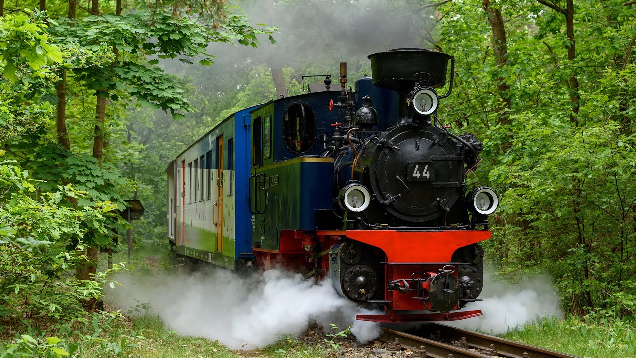 52 8177-9 z pociągiem wokół Berlina oraz Lok 44 