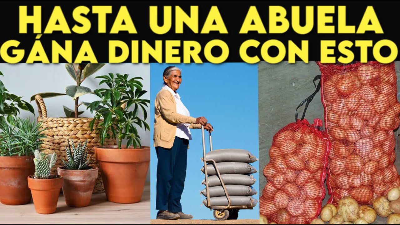 10 NEGOCIOS con POQUITO DINERO y Que puede abrir hasta una ABUELA de pueblo
