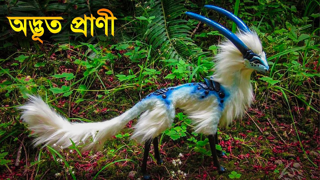 পৃথিবীর অদ্ভুত ও বিচিত্র কিছু প্রাণী | Some strangest and weirdest creatures on earth
