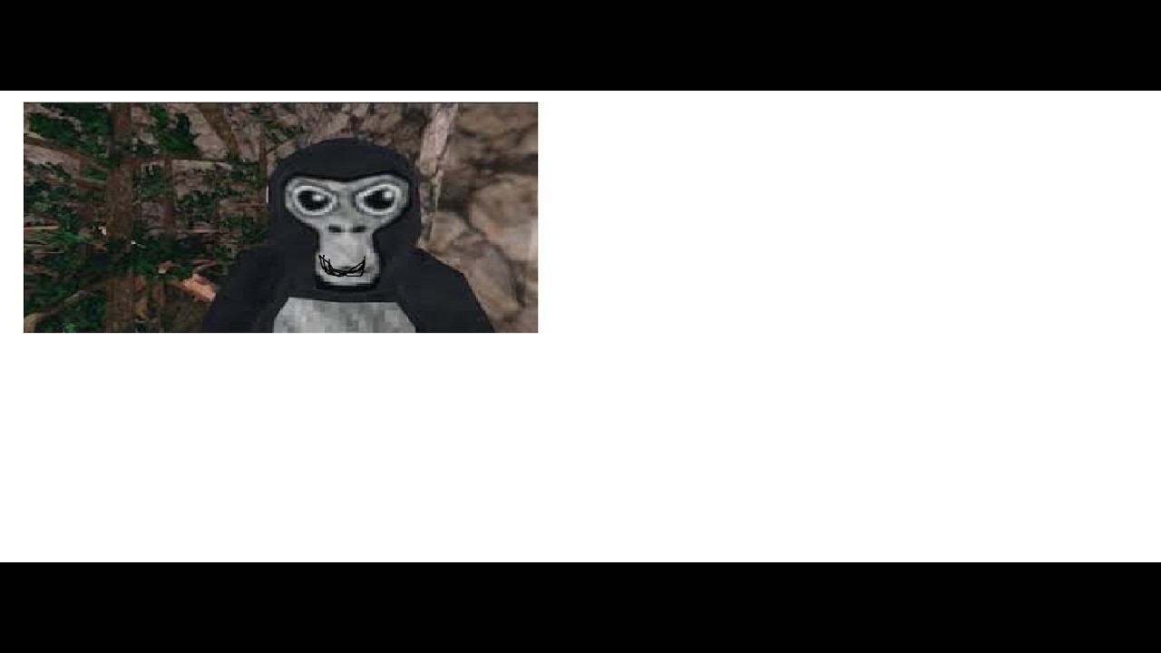 Gram z graczami i chodzę po ścianach w gorilla Tag?! | GORILLA TAG 