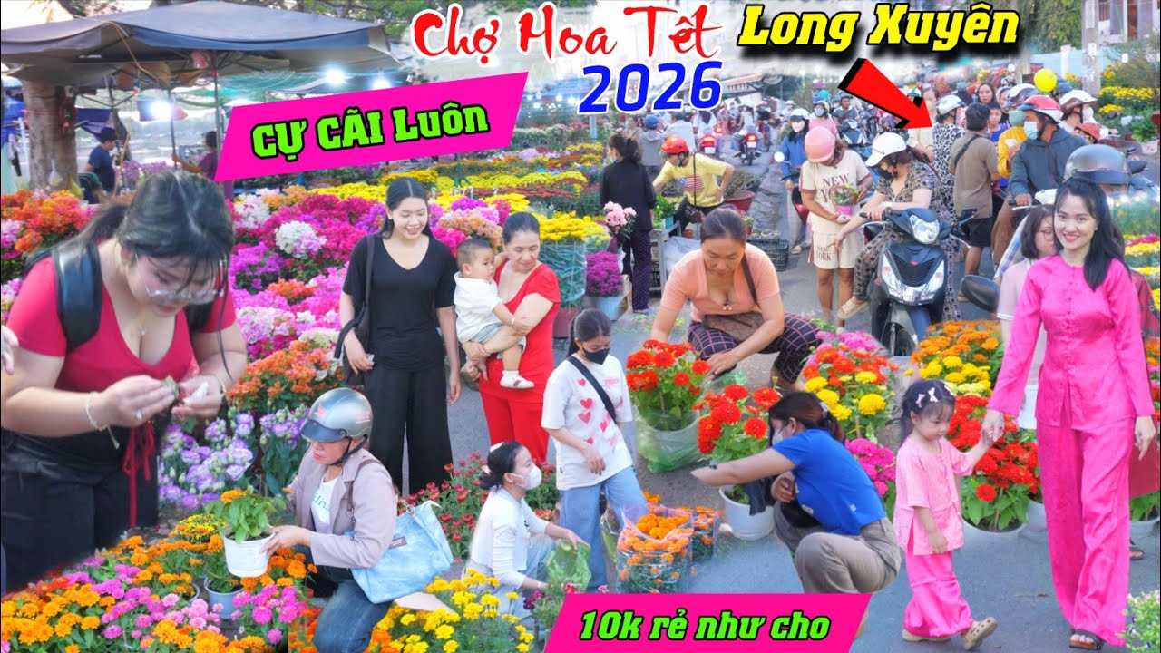 ĐÔNG KHỦNG KHIẾP từ sáng tới tối CỰ CÃI lun người mua bông giá rẻ chợ hoa tết long xuyên 2026