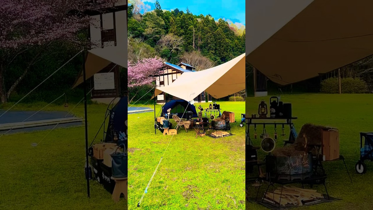 Cozy Tarp Camping Setup | Relaxing Outdoor Camp Vibes | TrollCamp”