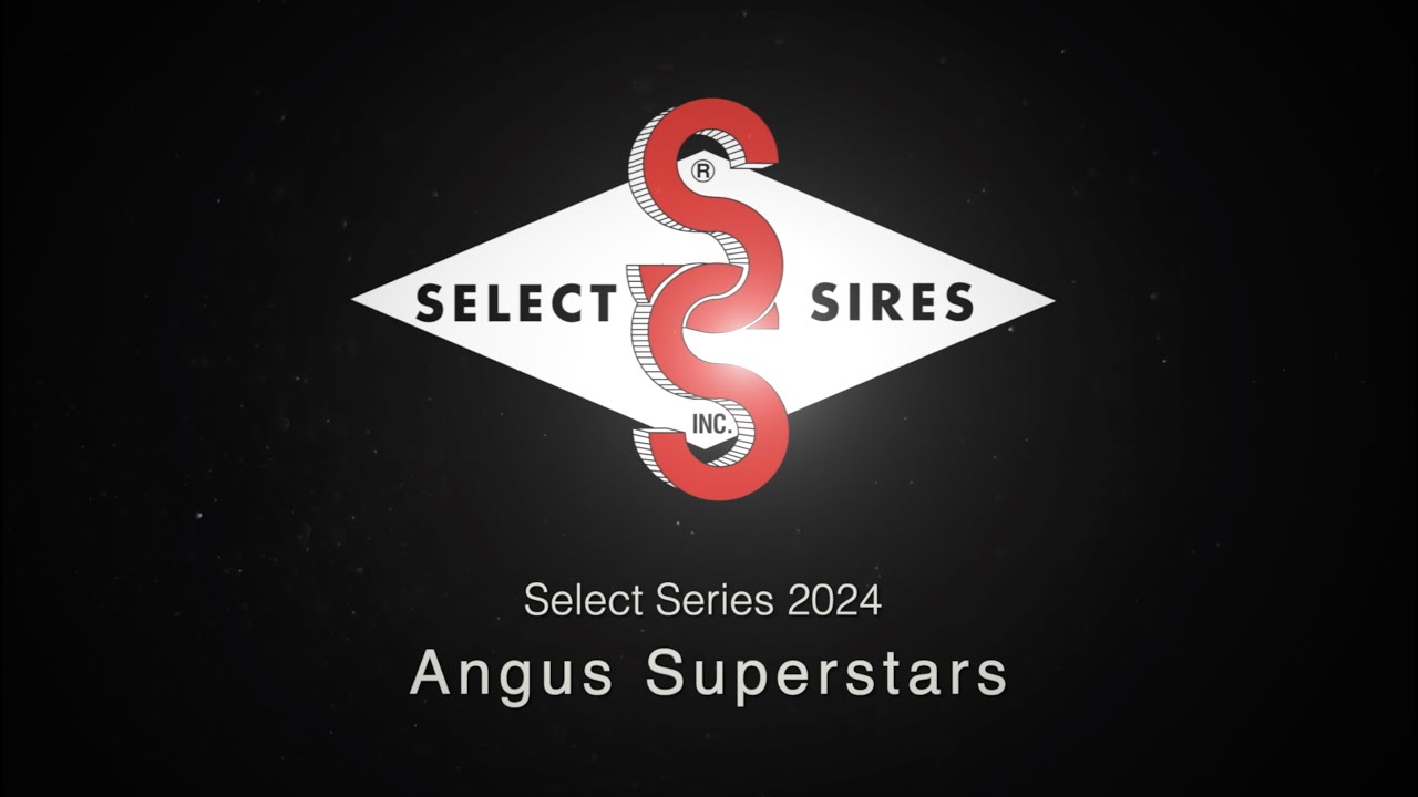 The 2024 Select Series: Angus Superstars