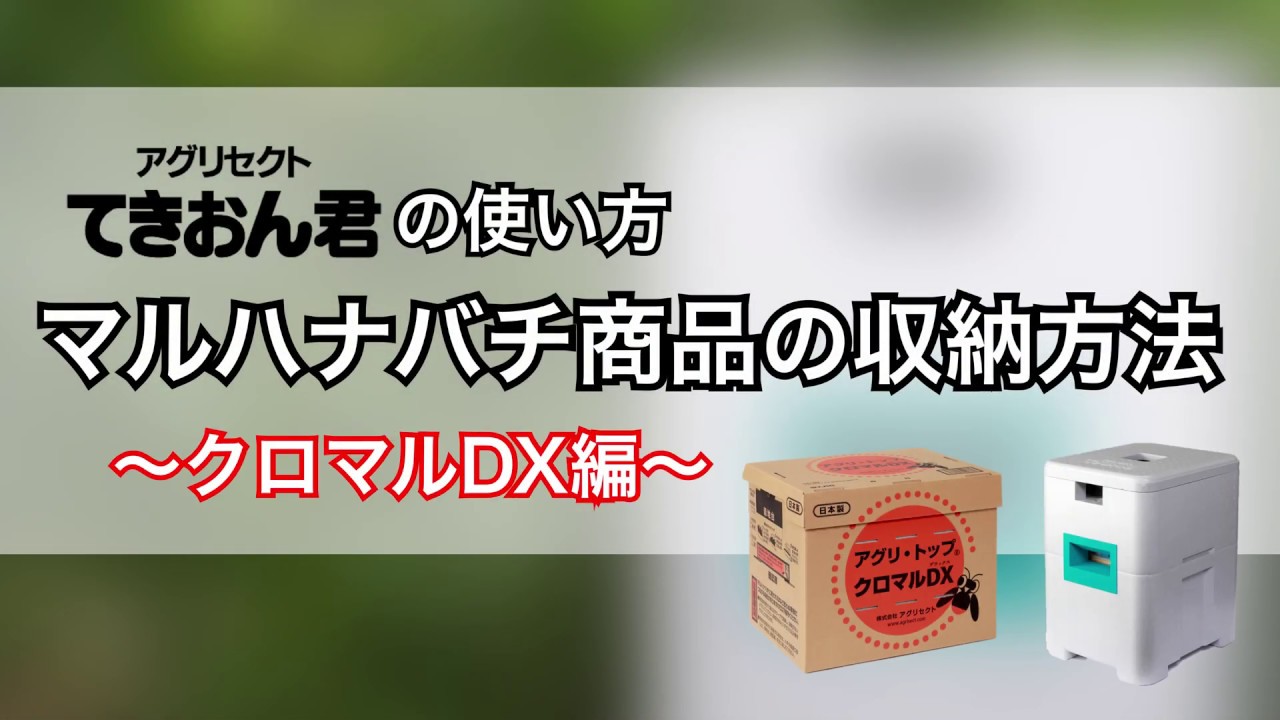 てきおん君 クロマルDX収納編【マルハナバチ用資材】