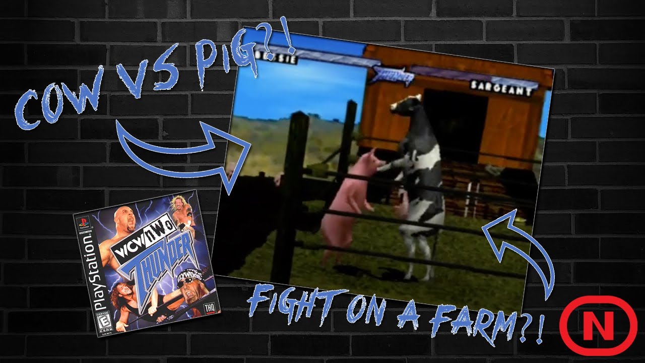 The Wacky Cheat Codes of WCW/nWo Thunder!