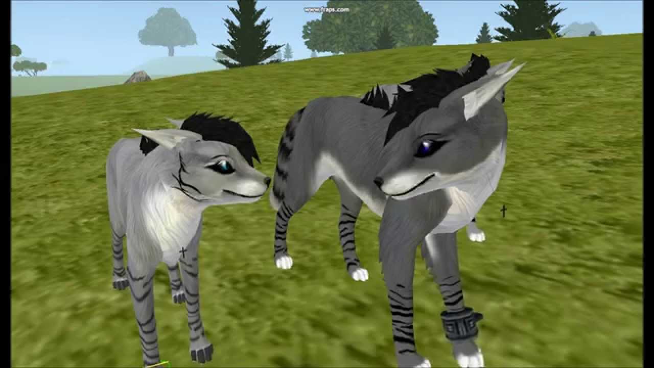 ♫ Hey Brother ~ Feral Heart ♫