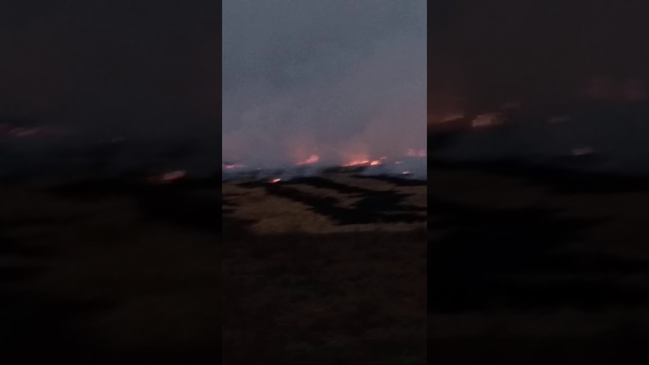 Fire in village short #short