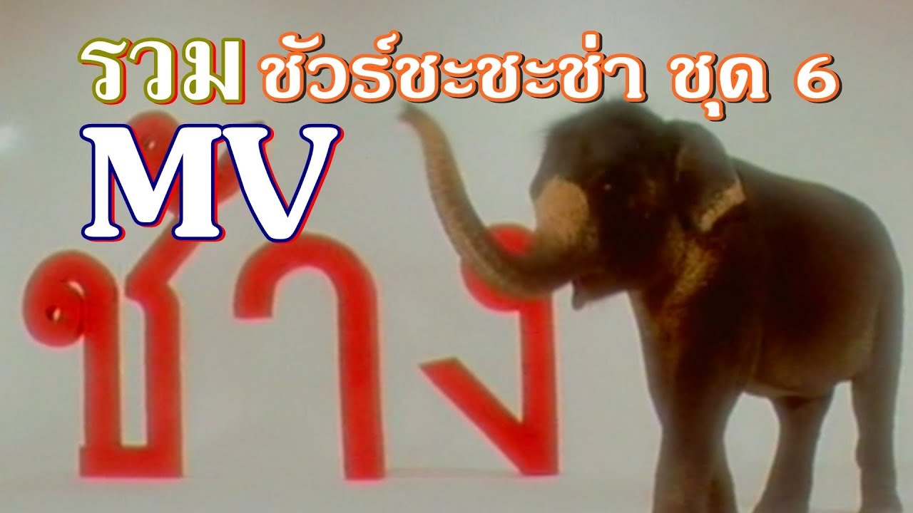 รวม MVชัวร์ชะชะช่า ชุด6