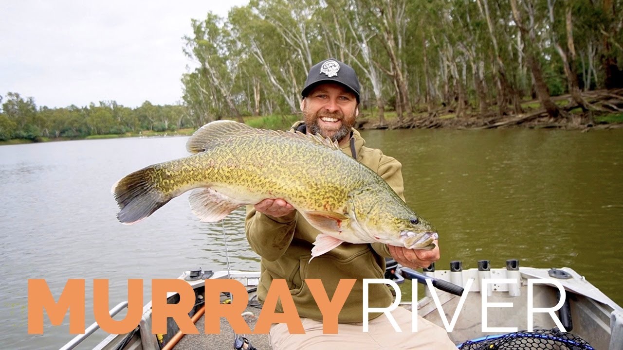 Exploring the MURRAY RIVER for Murray Cod