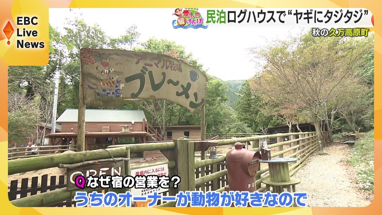 秋の久万高原町　動物とふれあい　老舗の味に舌鼓