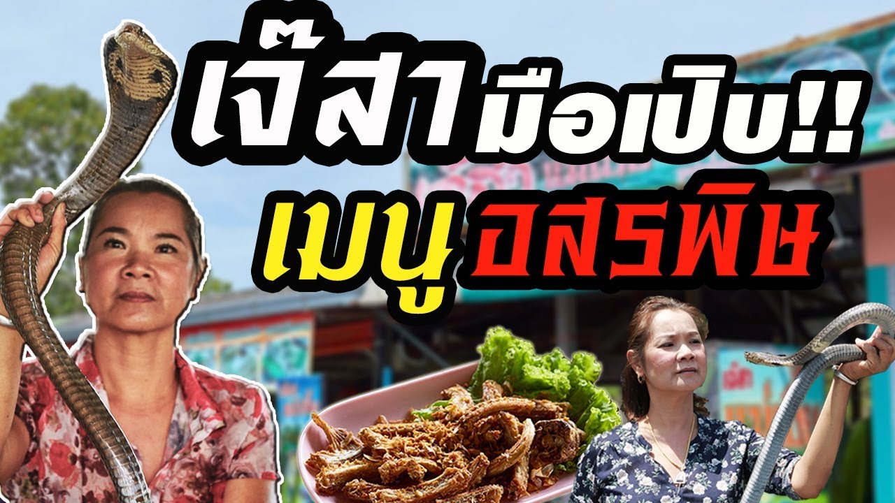 เจ๊สาแม่เบี้ย มือเปิบอสรพิษ สารพัดอาหารป่า
