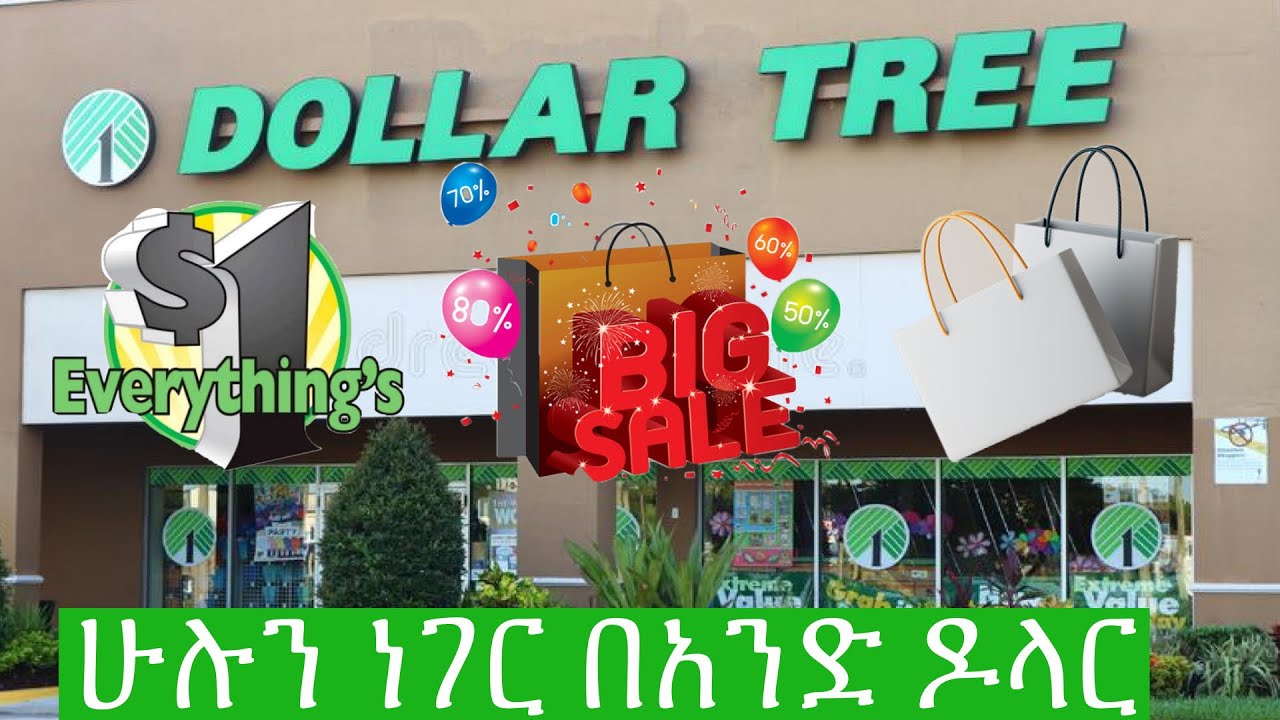 ሁሉን ነገር በአንድ ዶላር የምንገዛበትን ስቶር ላሳያችሁ /የአሜሪካ ገበያ/Dollar tree everything’s one dollar/@YOYO’S Tube
