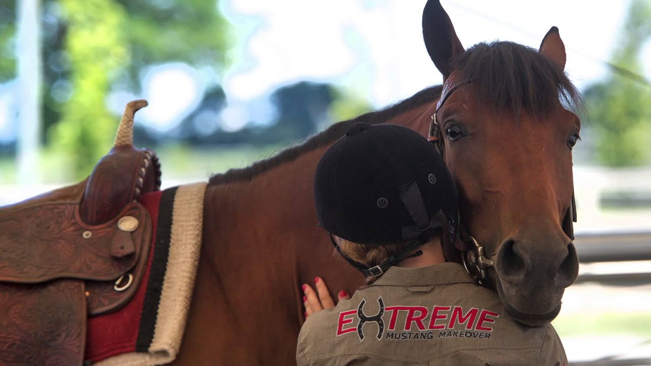 Taming Mustangs | A wild ride from Chesapeake