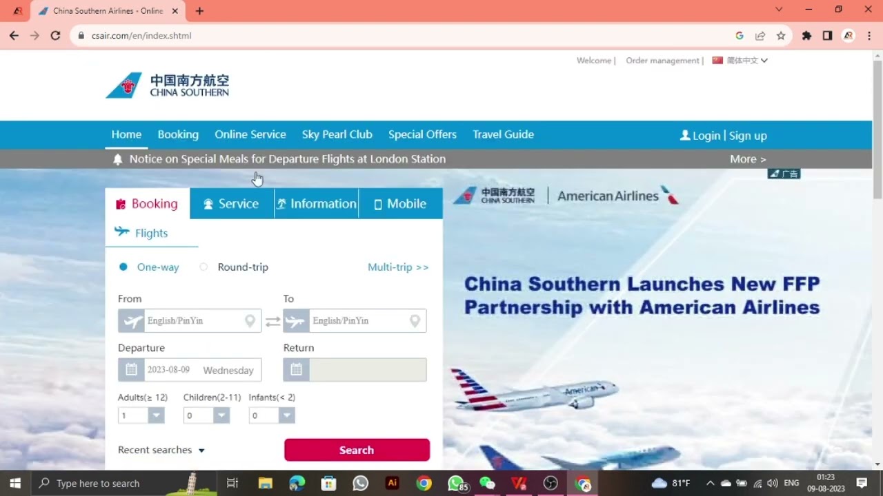 how to check airlines tickets / china southern airlines-CZ 2023