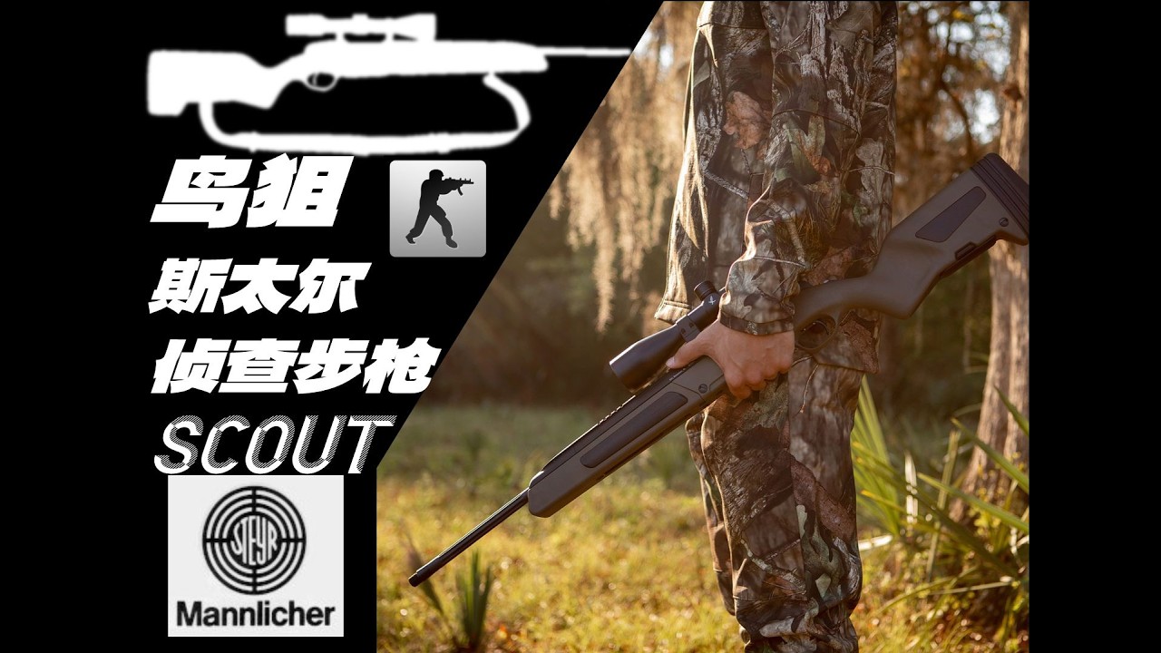 用最先进的技术 打造最过时的武器 —— 反恐精英中的鸟狙是什么？