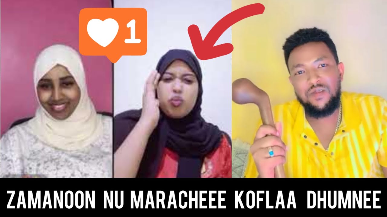 Oro funny 🤣 urjii fi zammee wal fixaan taphaa isanumaa lamaniitu walittii beeka akkam namni bira