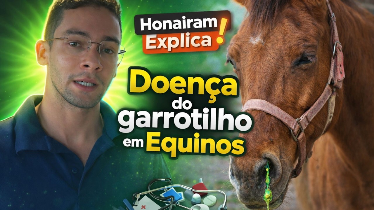 AULA SOBRE GARROTILHO EM EQUINOS COM O DR. HONAIRAM!