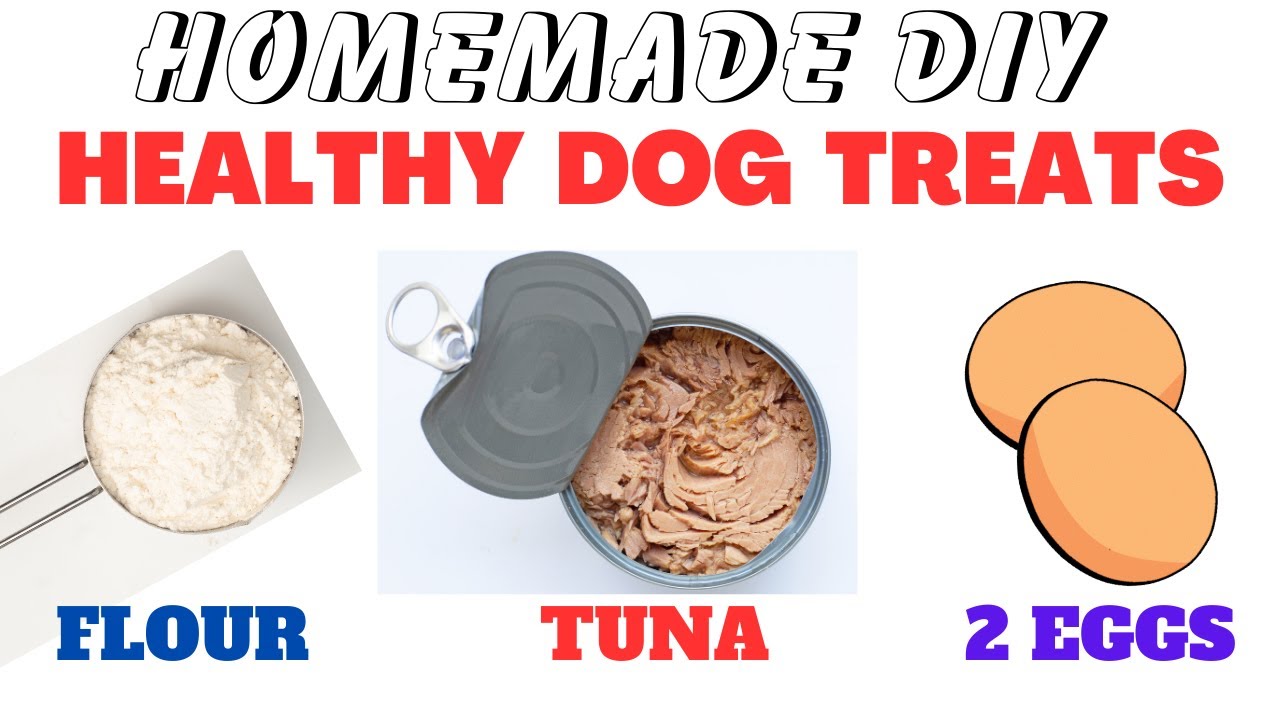 DIY Homemade Dog or Cat Tuna Treats