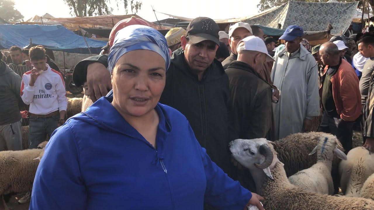 رايسة جميلة الزمورية بسوق ايت يدين الخميسات تمن حولي العيد و البيض البلدي و الماعز