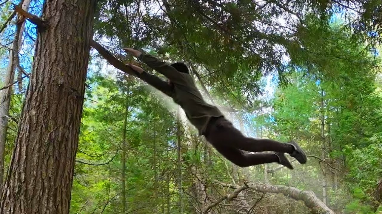 Jumping between Trees & Climbing over Rivers