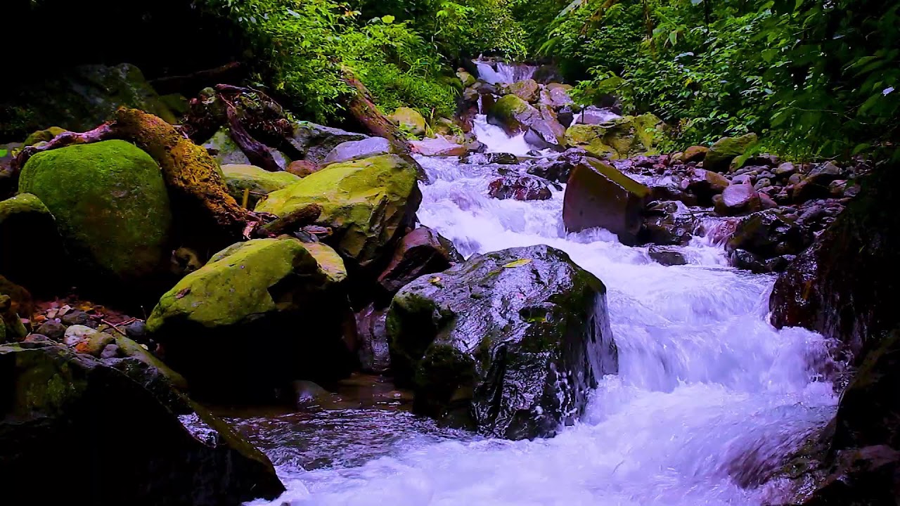 Pure Mountain Stream Water Sounds | Relaxing Forest White Noise for Stress Free Sleep