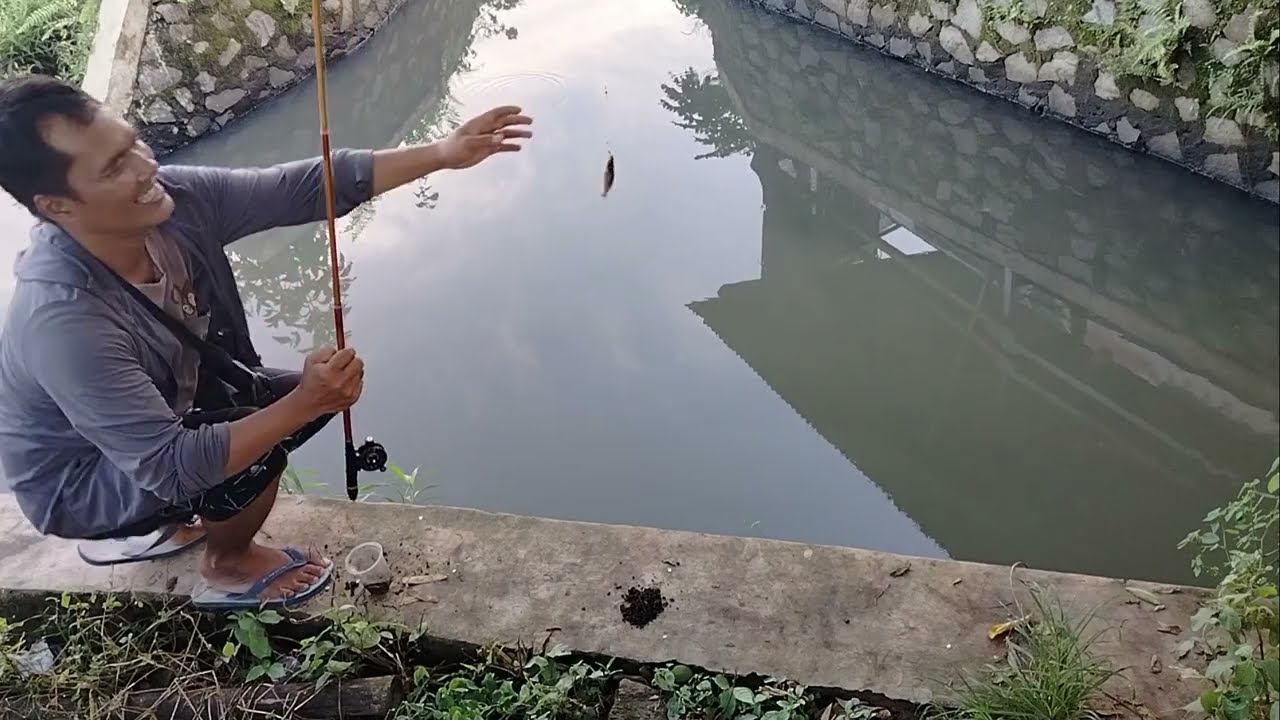 mancing ikan keting , udang dan wader pari strek bertubi - tubi tidak boncos