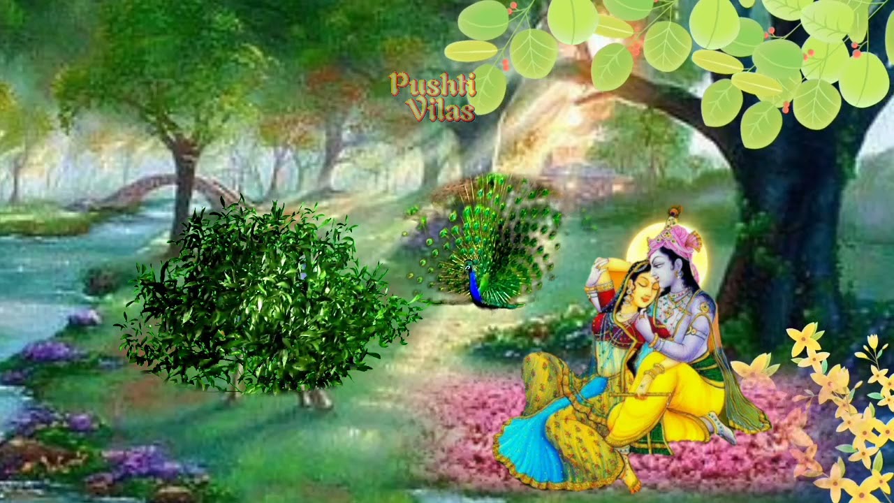 hamare mai shyama ju ko raaj | हमारे माई श्यामा जू को राज | राजभोग के पद
