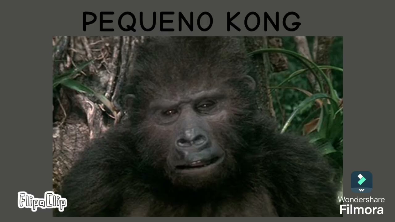 TODOS OS KAIJUS DE GODZILLA E KING KONG:PARTE 3 (AO SOM DE MÚSICAS ALEATÓRIAS)