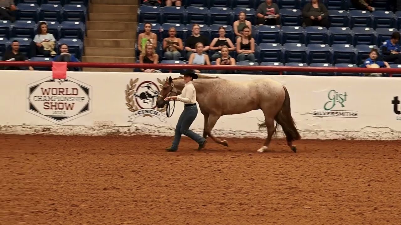 Ride the Pattern - Showmanship (2024 APHA World Show)
