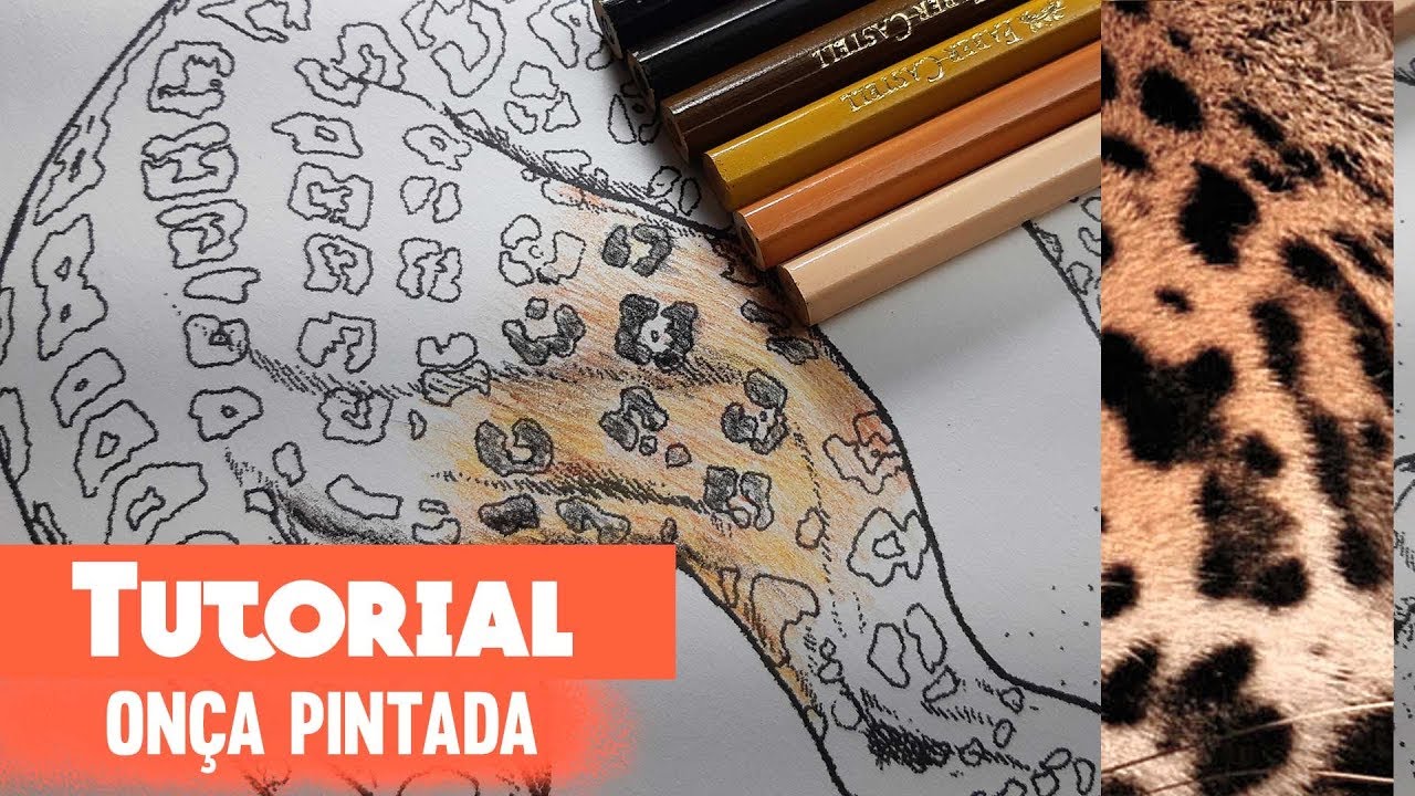 Tutorial Pintura de ONÇA PINTADA com lápis de cor FABER CASTEL AQUARELA  - Márcio Graff