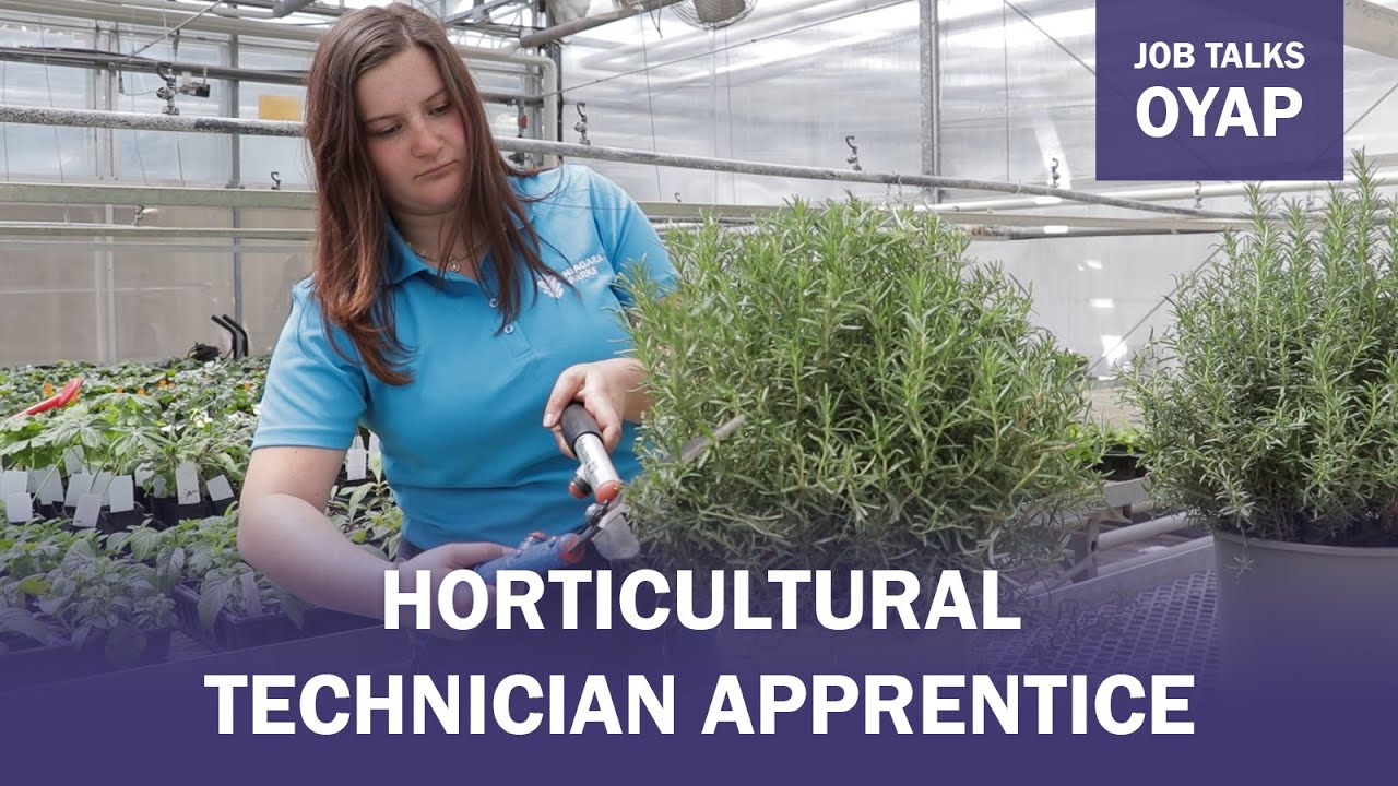 Job Talks OYAP - Horticultural Technician Apprentice
