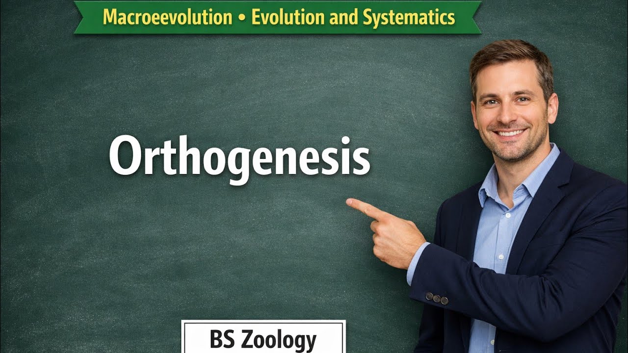 Orthogenesis in urdu/hindi | Macroevolution | Evolution | BS Zoology 