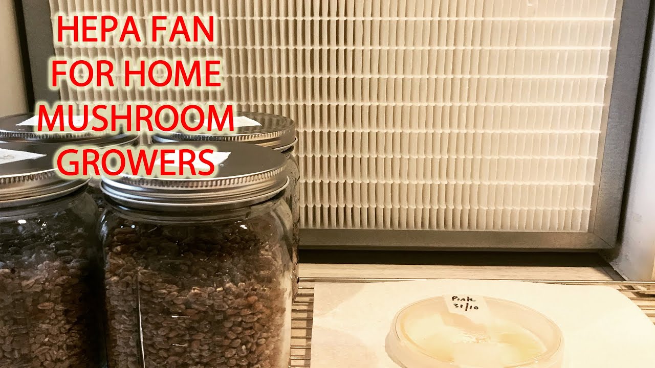Mushroom HEPA Filter fan on a Budget