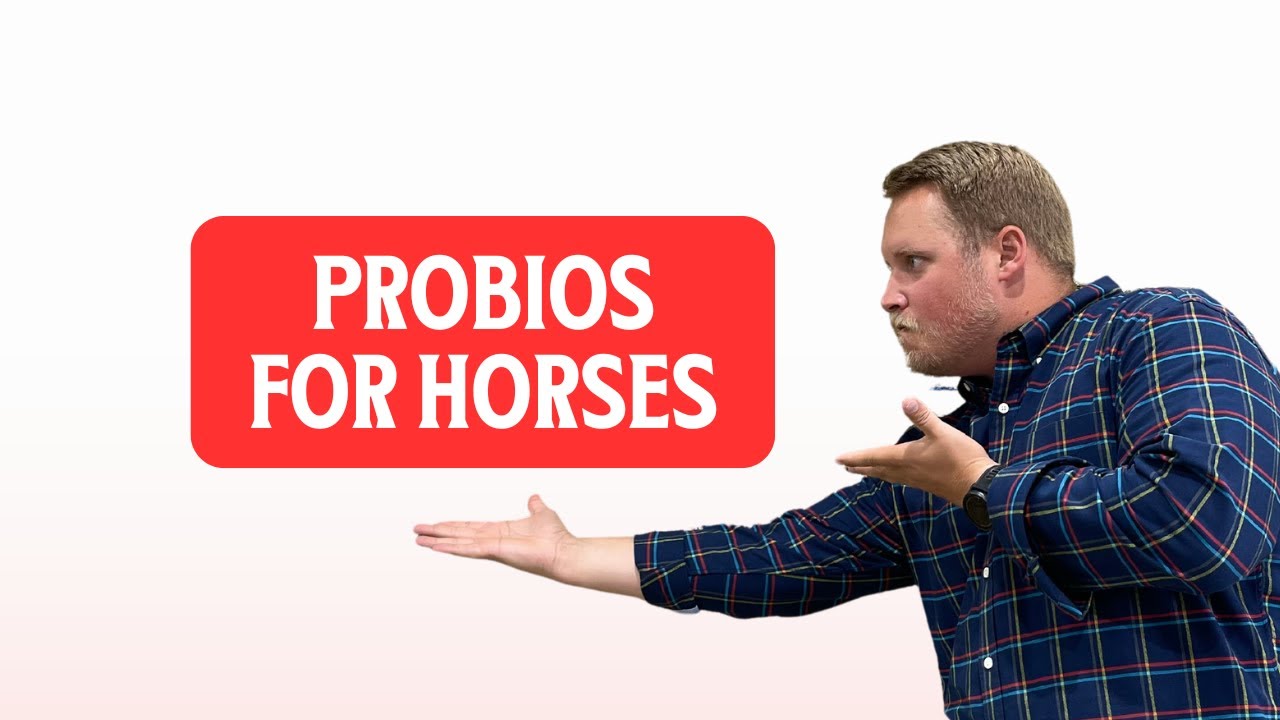Probios for Horses: Why You Should Choose A Different Probiotic