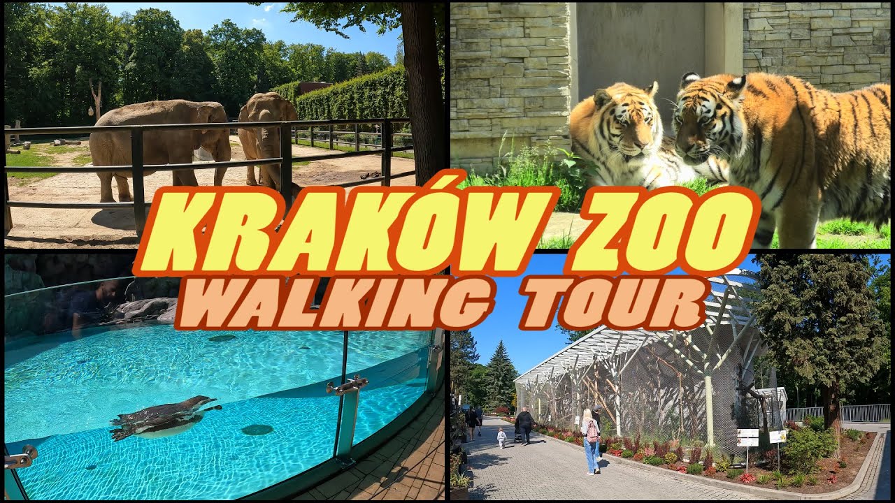 KRAKÓW ZOO Walking Tour - Kraków Poland [4k]